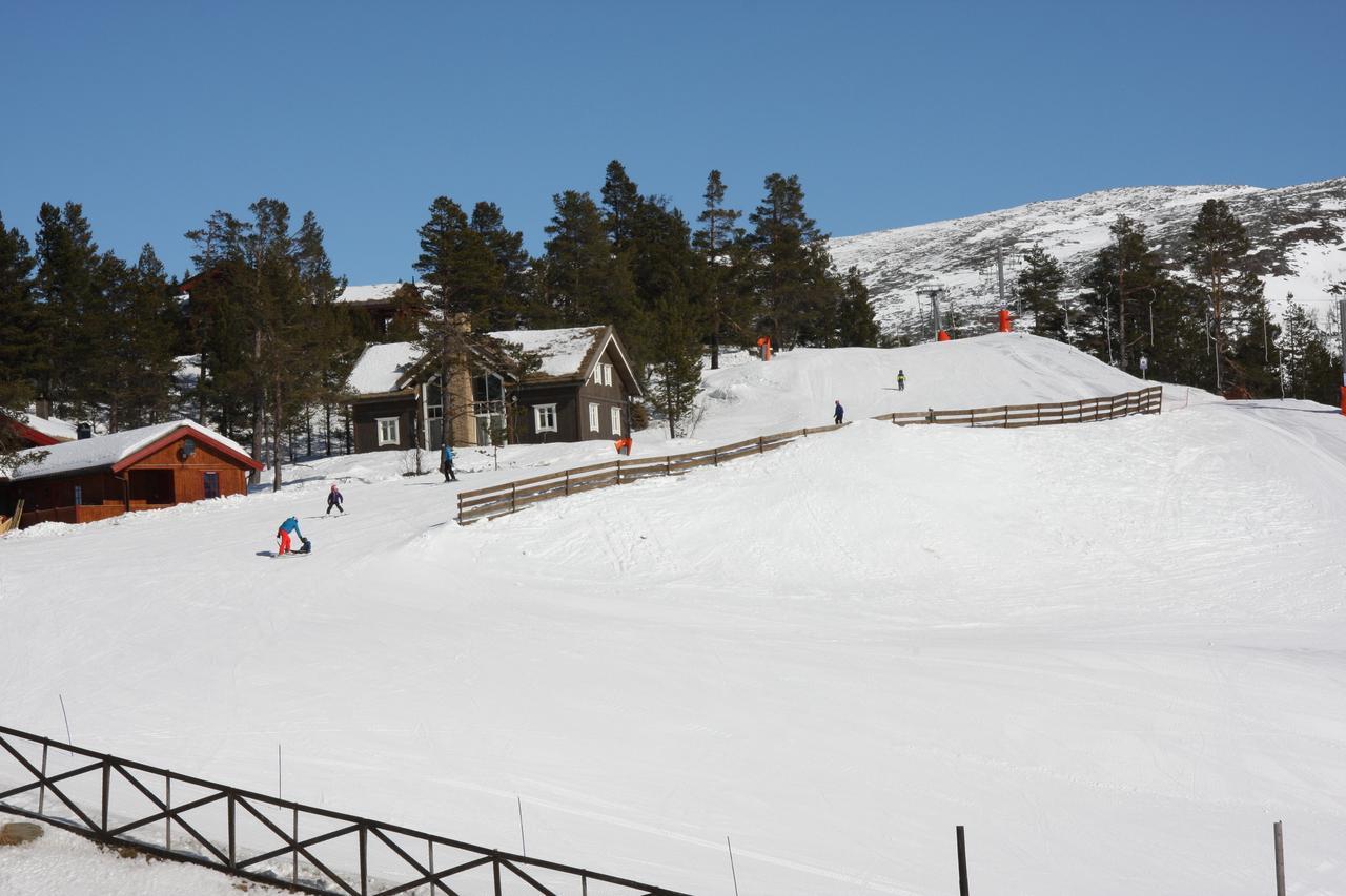 Lemonsjo Fjellstue Og Hyttegrend Randsverk エクステリア 写真