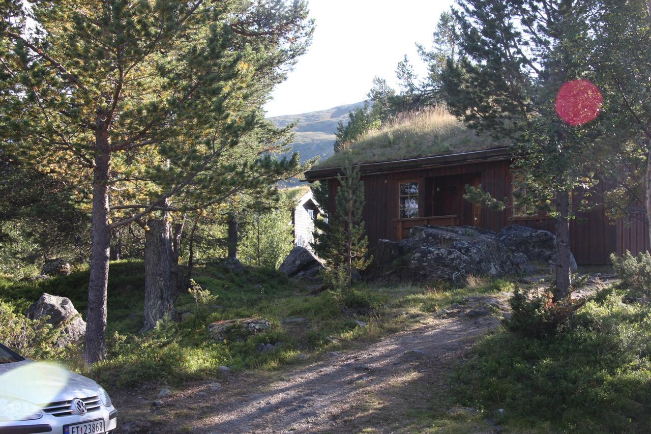 Lemonsjo Fjellstue Og Hyttegrend Randsverk 部屋 写真