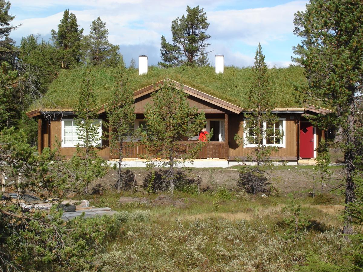 Lemonsjo Fjellstue Og Hyttegrend Randsverk 部屋 写真
