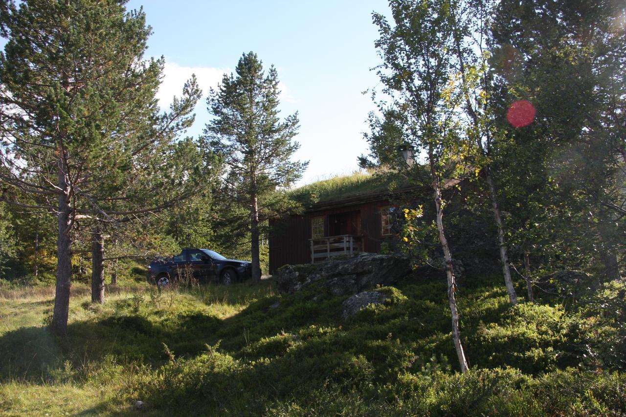 Lemonsjo Fjellstue Og Hyttegrend Randsverk エクステリア 写真