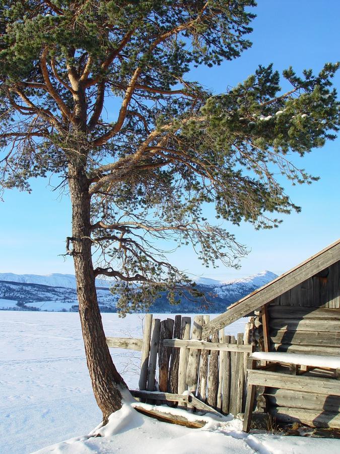 Lemonsjo Fjellstue Og Hyttegrend Randsverk エクステリア 写真
